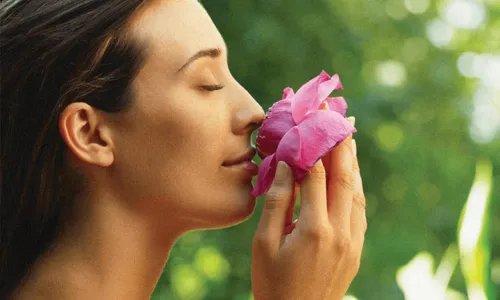 マンダラスパハワイ・ハンド&フット